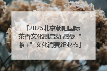 2025北京朝阳国际茶香文化周启动 感受“茶+”文化消费新业态