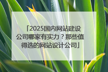 2025国内网站建设公司哪家有实力？那些值得选的网站设计公司