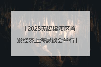2025无锡梁溪区首发经济上海恳谈会举行