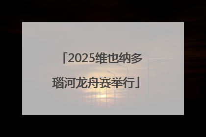 2025维也纳多瑙河龙舟赛举行
