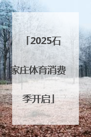 2025石家庄体育消费季开启