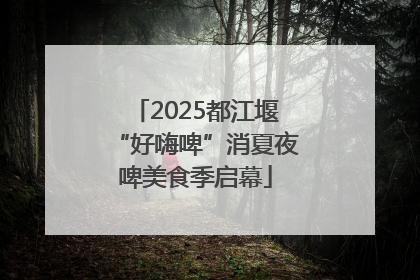 2025都江堰“好嗨啤”消夏夜啤美食季启幕