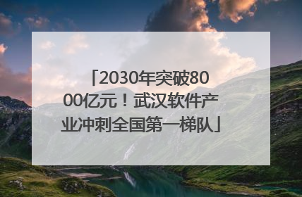 2030年突破8000亿元！武汉软件产业冲刺全国第一梯队