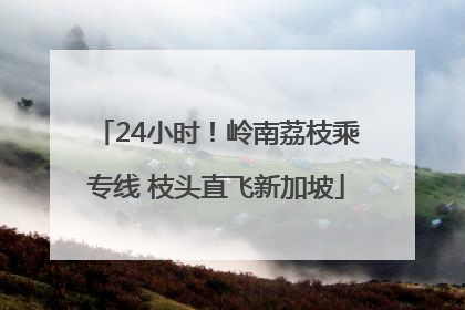 24小时！岭南荔枝乘专线 枝头直飞新加坡