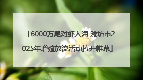 6000万尾对虾入海 潍坊市2025年增殖放流活动拉开帷幕