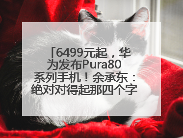 6499元起，华为发布Pura80系列手机！余承东：绝对对得起那四个字！华为近十年研发投入12490亿元
