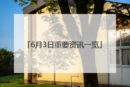 6月3日重要资讯一览