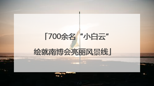 700余名“小白云”绘就南博会亮丽风景线