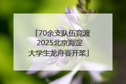 70余支队伍竞渡 2025北京海淀大学生龙舟赛开桨