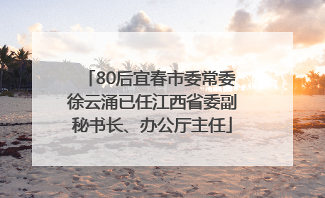 80后宜春市委常委徐云涌已任江西省委副秘书长、办公厅主任