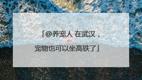 @养宠人 在武汉，宠物也可以坐高铁了