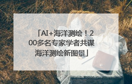 AI+海洋测绘！200多名专家学者共谋海洋测绘新图景
