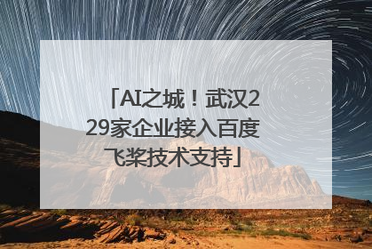AI之城！武汉229家企业接入百度飞桨技术支持