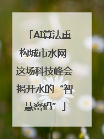AI算法重构城市水网 这场科技峰会揭开水的“智慧密码”