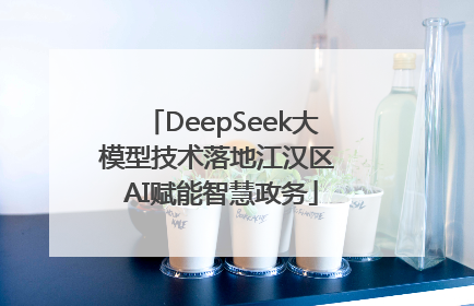DeepSeek大模型技术落地江汉区 AI赋能智慧政务