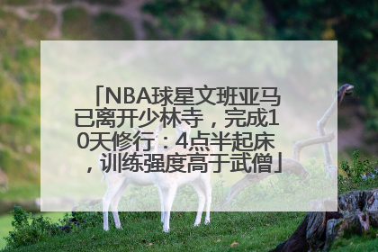 NBA球星文班亚马已离开少林寺，完成10天修行：4点半起床，训练强度高于武僧